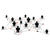 People Matrices: Structure, Simulations and a Stunning Field Visit