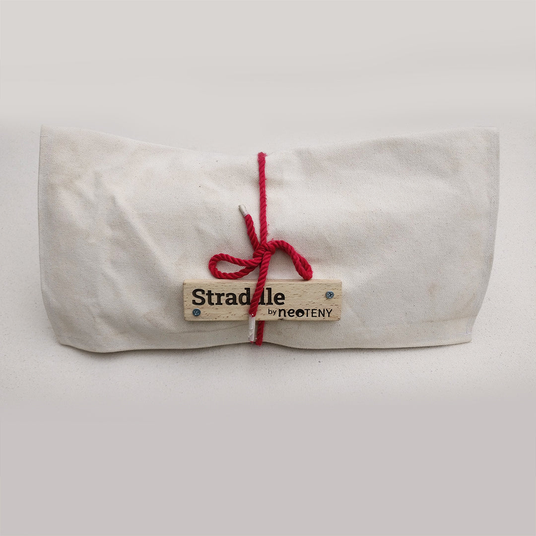 Straddle Da Vinci Bridge Replica