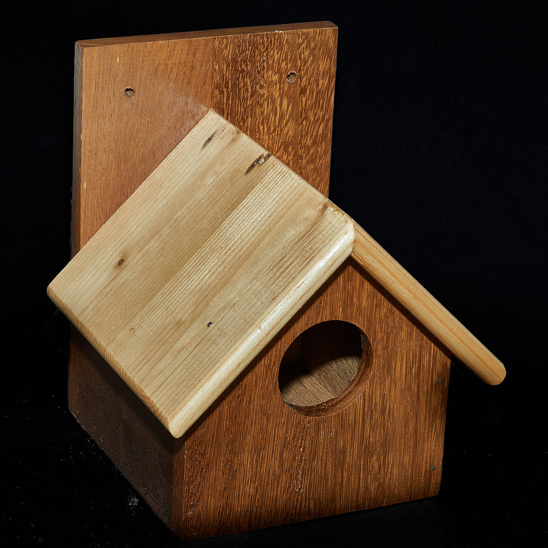 Passerbox Dedicated Sparrow Bird Box (Pair)