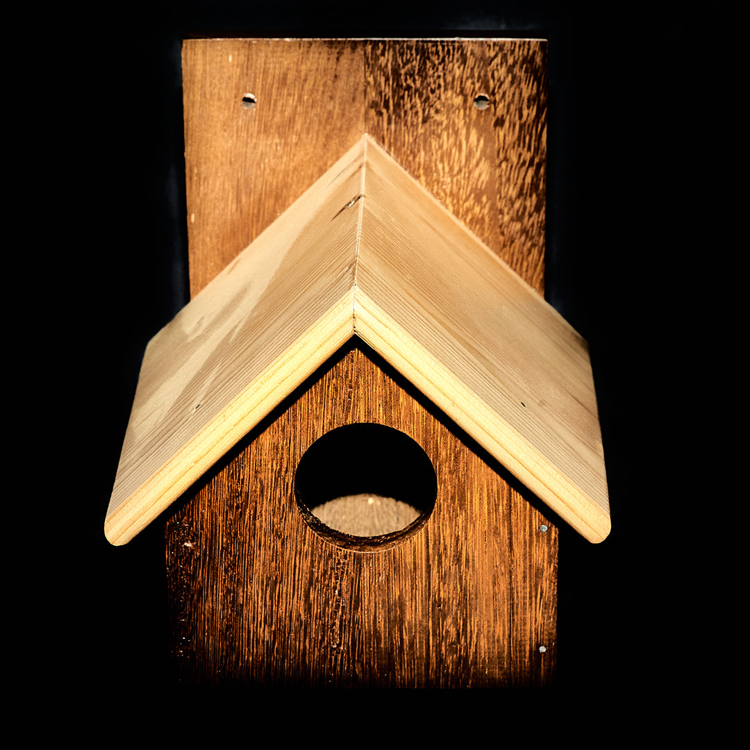 Passerbox Dedicated Sparrow Bird Box (Pair)