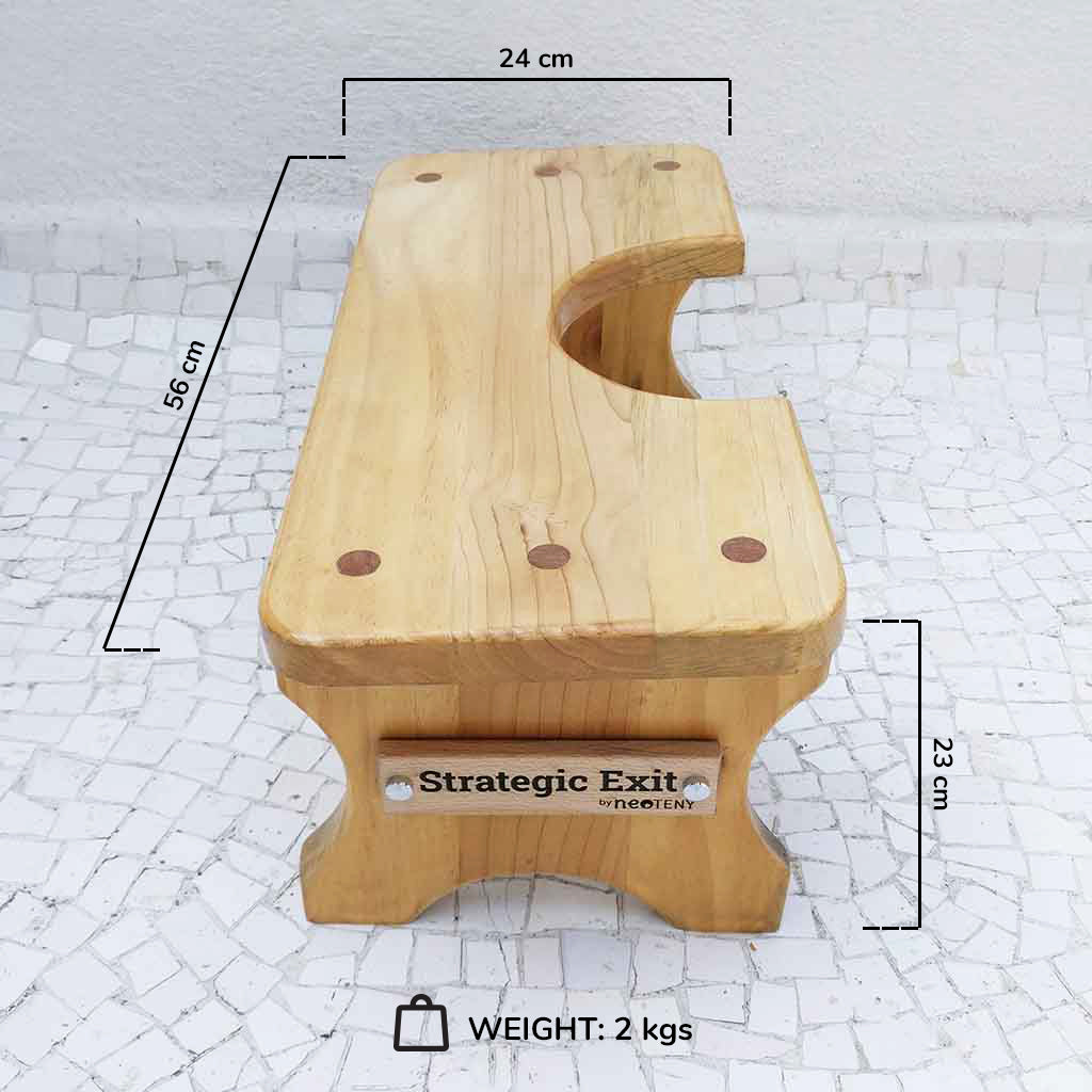 Strategic Exit Potty Riser