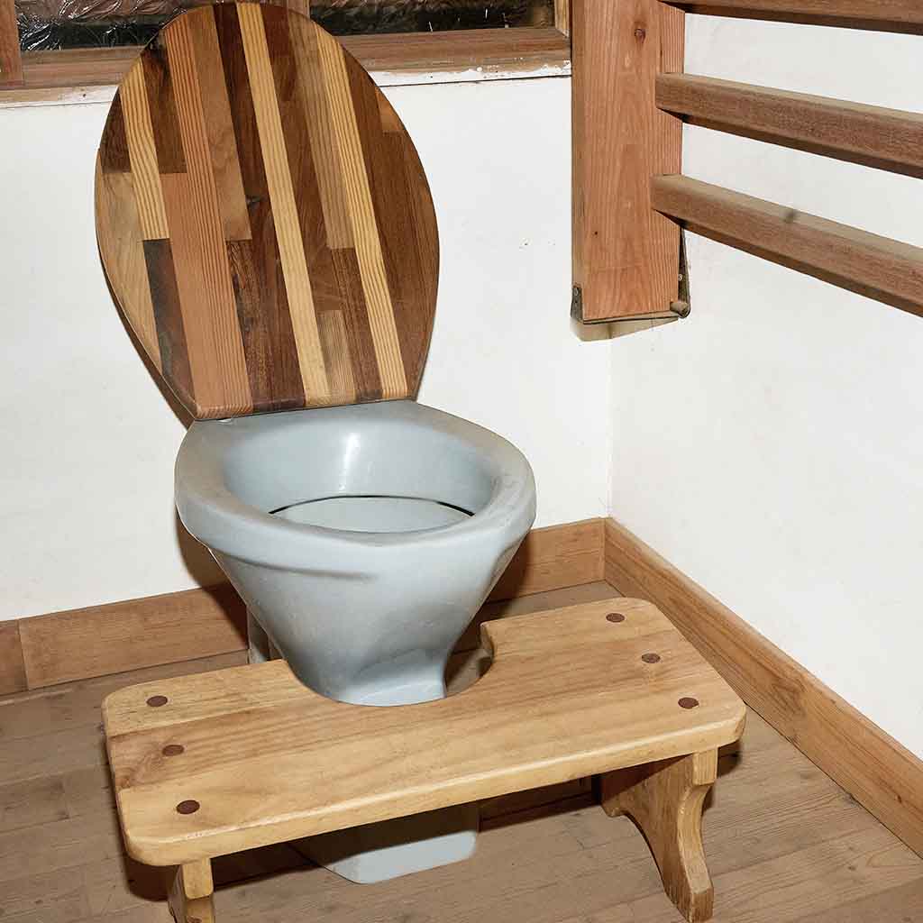 Strategic Exit Potty Riser